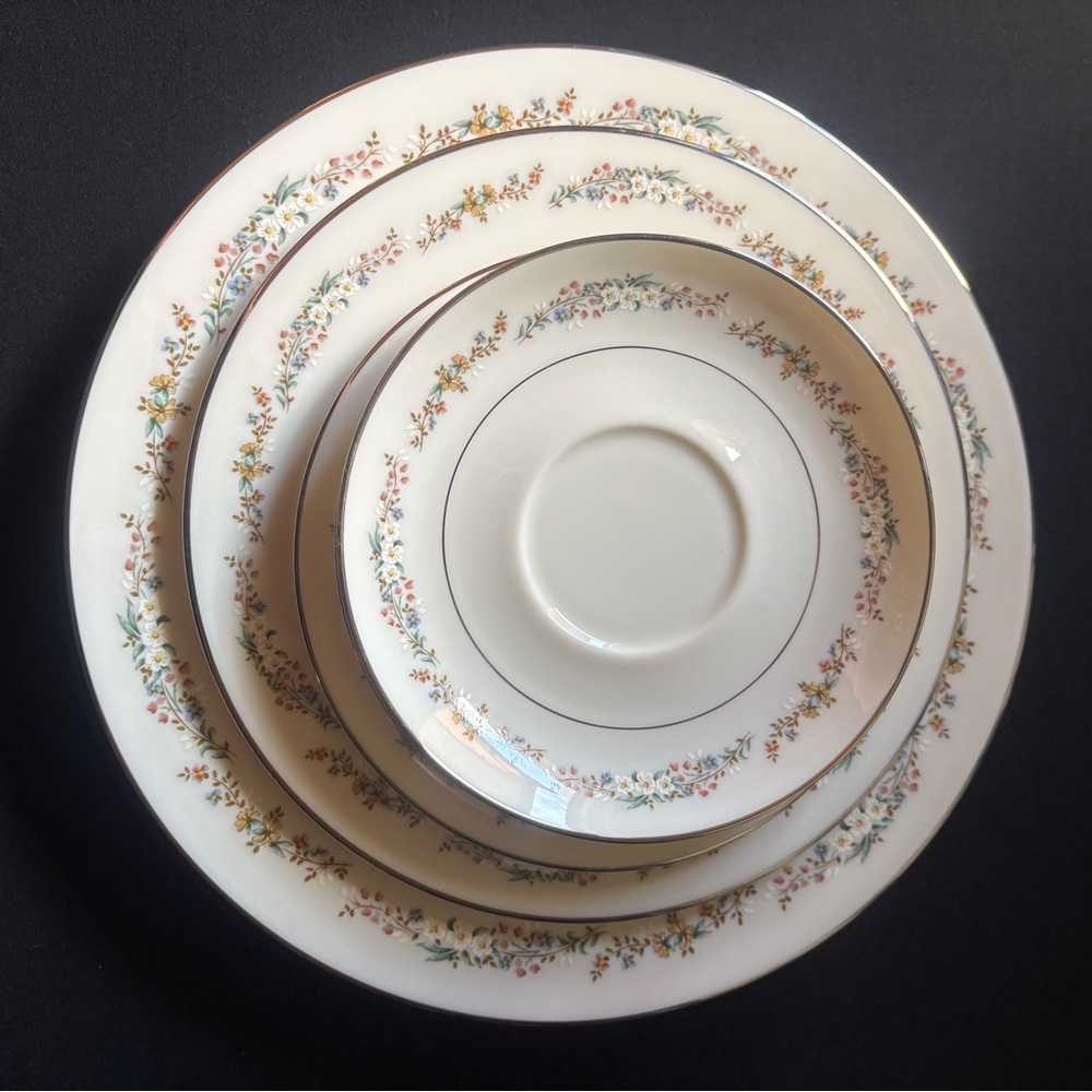 Set of 9 Gorham Rondelle Plates and Saucers Floral Platinum Trim